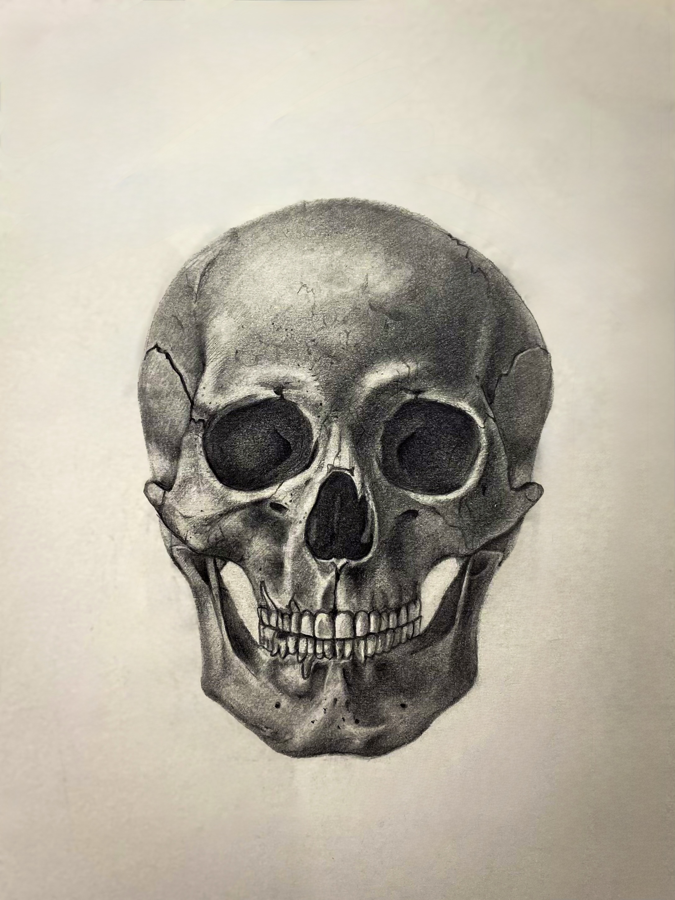骷髏頭素描